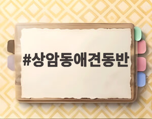 상암동애견동반