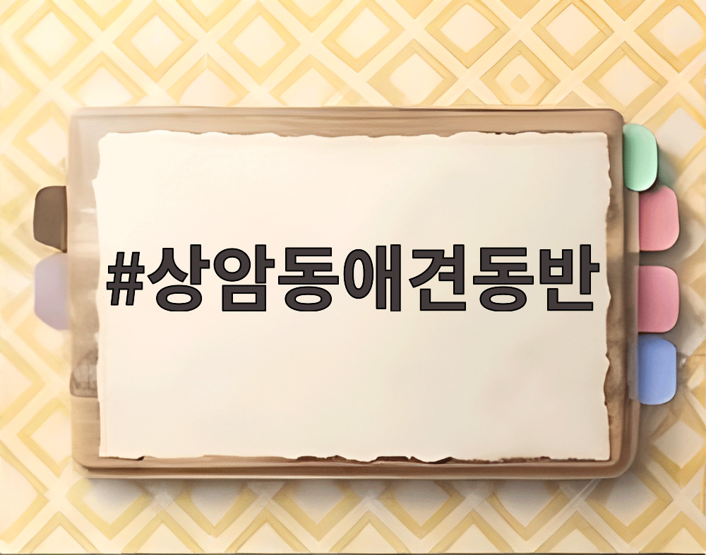 상암동애견동반