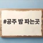공주 밤 파는곳 진짜 찾는 법 한눈에 정리했어요 공주 밤 파는곳