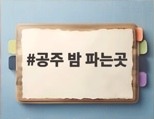 공주 밤 파는곳