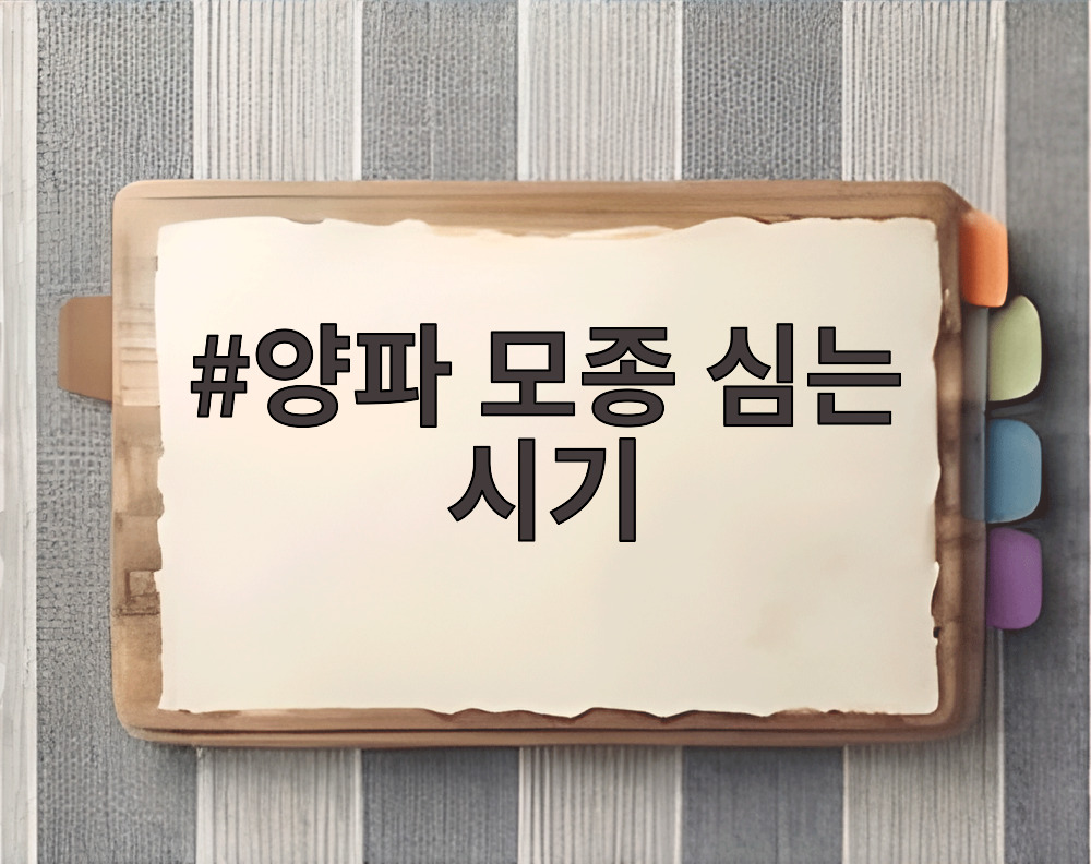 양파 모종 심는 시기