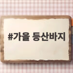 가을 등산바지 이렇게 고르면 주말 산행이 정말 편안해집니다 가을 등산바지