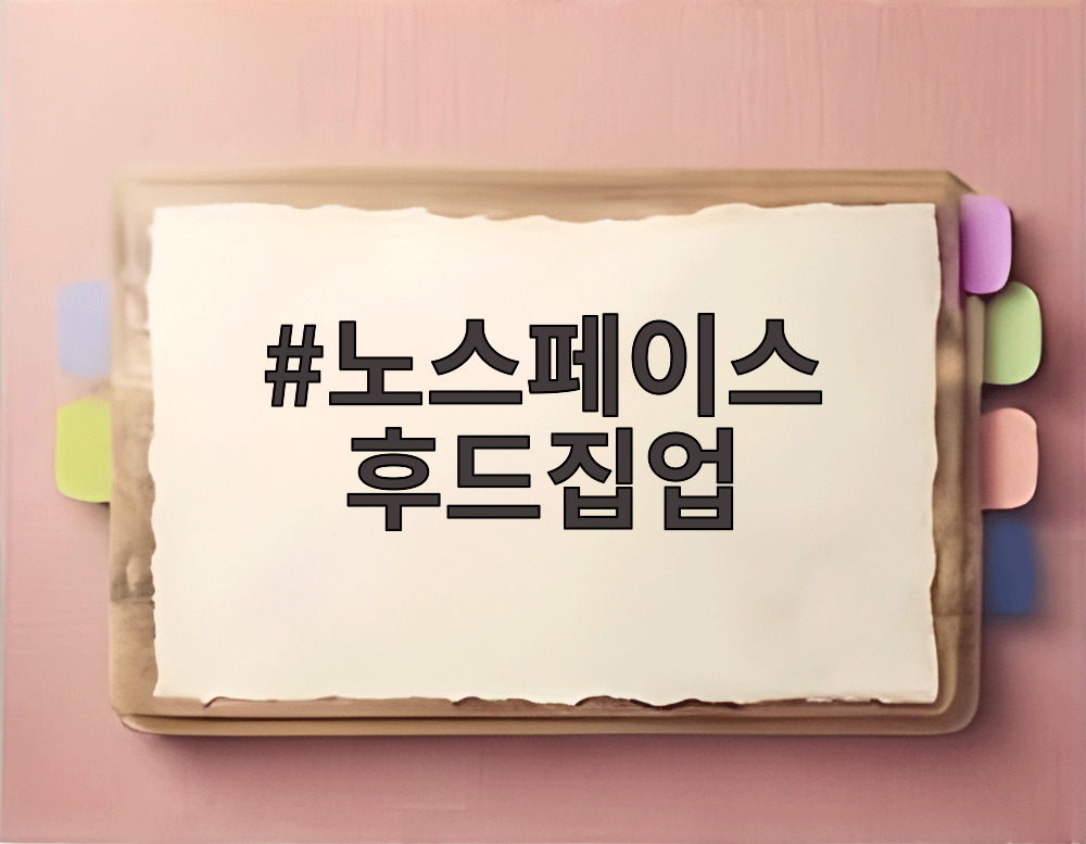 노스페이스 후드집업