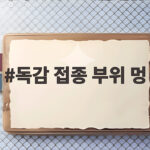 독감 접종 부위 멍 걱정된다면 이렇게 관리하세요 독감 접종 부위 멍