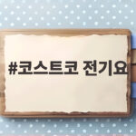 코스트코 전기요 지금 미리 사야 하는 이유와 할인 가격 코스트코 전기요