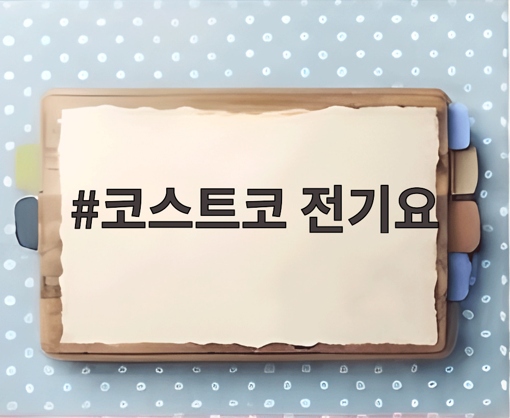 코스트코 전기요