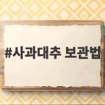 사과대추 보관법 냉장과 냉동 언제 어떻게 나눠야 할까요 사과대추 보관법
