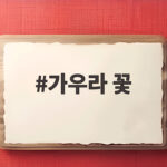 가우라 꽃