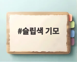 슬립색 기모