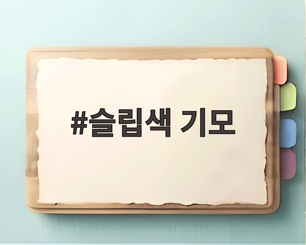 슬립색 기모