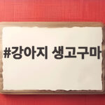 강아지 생고구마 주면 안 되는 이유와 안전한 급여법 강아지 생고구마