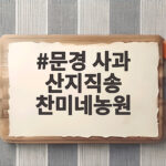 문경 사과 산지직송 찬미네농원 당일 발송 조건과 사과즙까지 한번에 확인 문경 사과 산지직송 찬미네농원