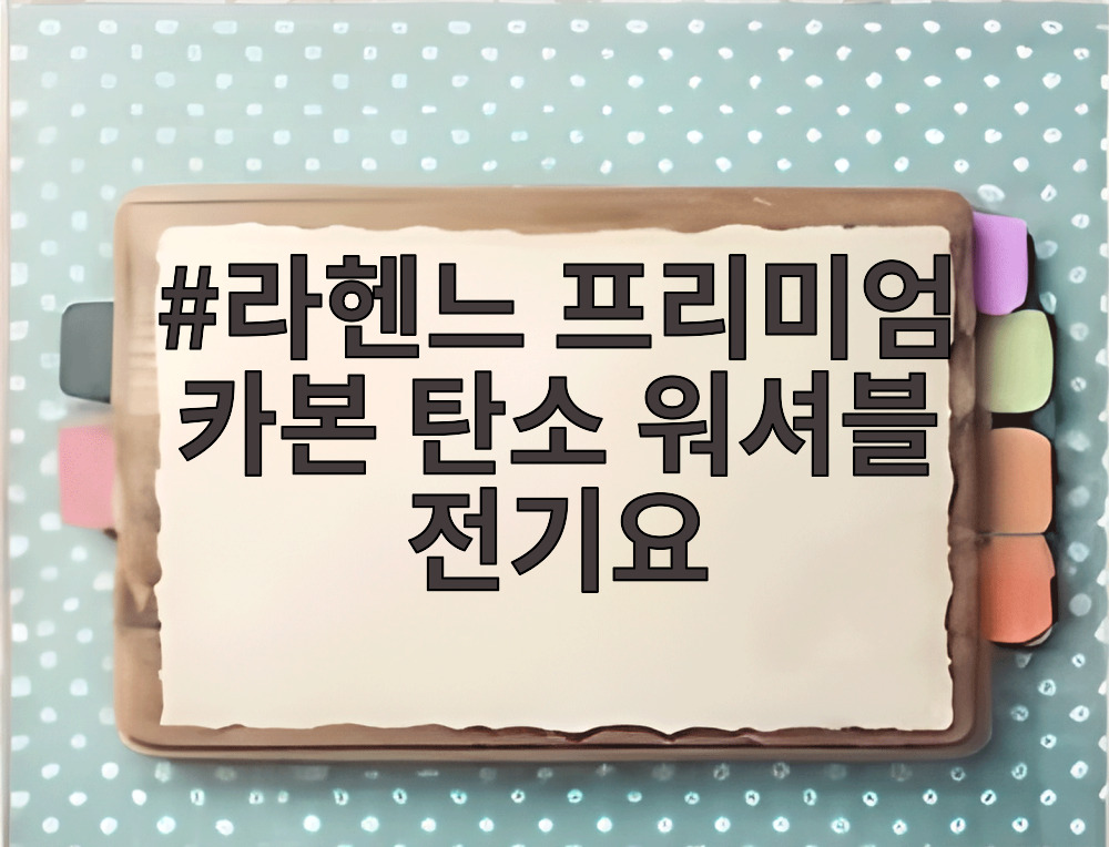 라헨느 프리미엄 카본 탄소 워셔블 전기요