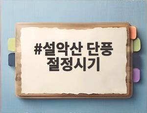 설악산 단풍 절정시기