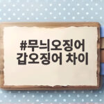 무늬오징어 갑오징어 차이 궁금하다면 이것만 기억하세요 무늬오징어 갑오징어 차이