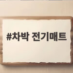 차박 전기매트 고르기 전에 확인하면 평온한 밤을 만드는 방법 차박 전기매트