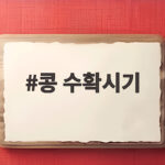 콩 수확시기 10월 언제가 좋을까 꼬투리 색깔로 확인하세요 콩 수확시기