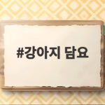 강아지 담요 고르는 법과 세탁 주기 그리고 안전 관리 확인하세요 강아지 담요