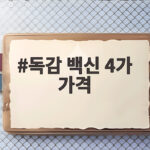 독감 백신 4가 가격 병원별 차이와 저렴하게 맞는 방법 독감 백신 4가 가격