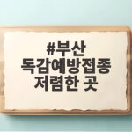부산 독감예방접종 저렴한 곳 가격 비교하고 1만원대에 접종하는 방법 부산 독감예방접종 저렴한 곳