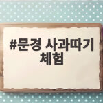 문경 사과따기 체험 2026 일정과 신청 방법 한눈에 보기 문경 사과따기 체험