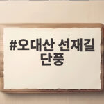 오대산 선재길 단풍 절정 시기와 주차 회귀 동선 한눈에 보기 오대산 선재길 단풍