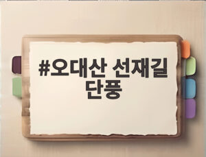 오대산 선재길 단풍