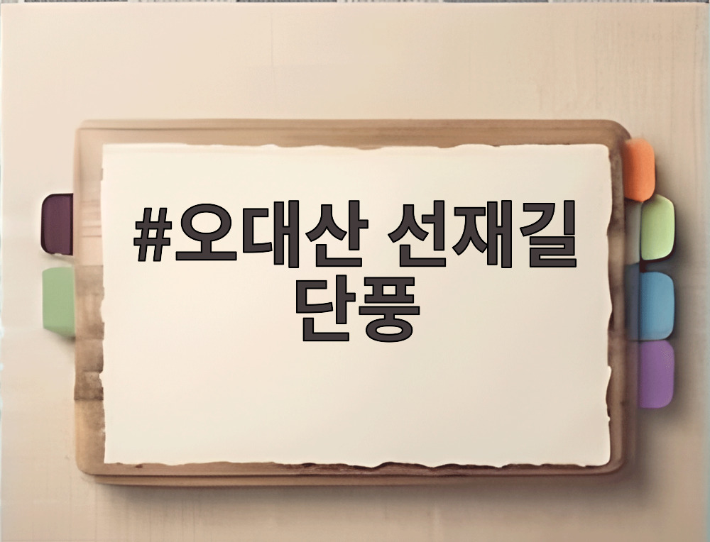 오대산 선재길 단풍