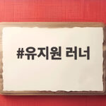 유지원 러너 사망 서울레이스 하프코스에서 배운 안전 달리기 유지원 러너