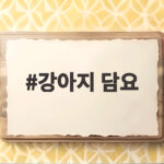 강아지 담요 하나로 목욕 산책 수면까지 해결하는 방법 강아지 담요