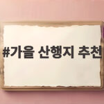 가을 산행지 추천 10월에 만나는 은빛 억새 명산 가을 산행지 추천