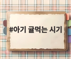 아기 귤먹는 시기