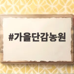 가을단감농원 제철 단감 고르는 법과 보관 팁 가을단감농원