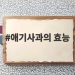 애기사과의 효능