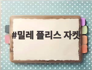 밀레 플리스 자켓