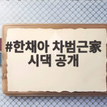 한채아 차범근 시댁 공개 고흥 저택 정원과 바닷가 힐링 명절 한채아 차범근家 시댁 공개
