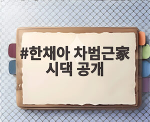 한채아 차범근家 시댁 공개