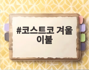 코스트코 겨울 이불