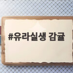 유라실생 감귤 처음 만나는 초록 햇귤의 반전 맛 이야기 유라실생 감귤