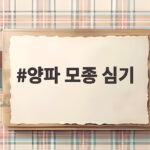양파 모종 심기
