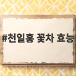 천일홍 꽃차 효능 알고 마시면 더 좋은 이유와 우리는 이렇게 마셨어요 천일홍 꽃차 효능