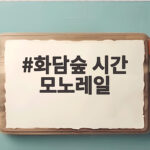 화담숲 시간 모노레일 예약 꿀팁 가을 단풍 관람 전 알아두세요 화담숲 시간 모노레일