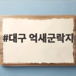 대구 억새군락지 절정 시기와 함께 가볼 만한 은빛 풍경 명소 대구 억새군락지