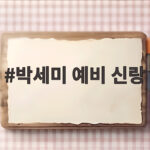 박세미 예비 신랑 김준연 아이돌 오디션 톱20 출신이라 궁금하다면 박세미 예비 신랑