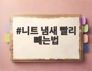 니트 냄새 빨리 빼는법
