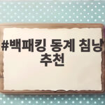 백패킹 동계 침낭 추천
