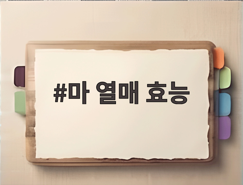 마 열매 효능