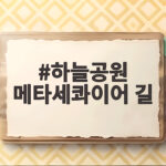 하늘공원 메타세콰이어 길 꽃무릇 지금 가도 될까 주차 팁까지 하늘공원 메타세콰이어 길
