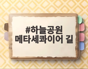 하늘공원 메타세콰이어 길