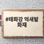 태화강 억새밭 화재